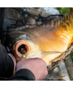 Carpo: The fluoro drilled boilie pellet